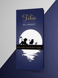 Faire-part de naissance sur-mesure Télio