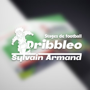 création plaquette commerciale pour les stages de foot Dribbleo - Sylvain Armand